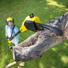 Best Grass Overseeding  in Richgrove, CA